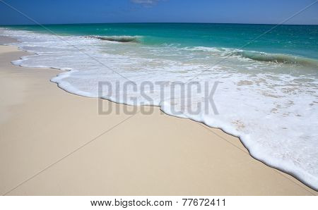 Clean beach Caribbean Sea. Playa los Cocos. Cayo Largo. Cuba.