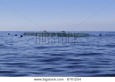 Allevamento ittico blu oceano mare orizzonte