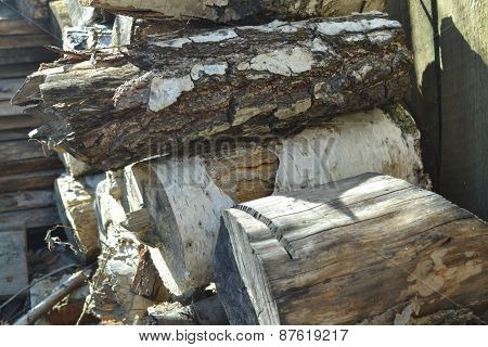 Birch Firewood Logs Stacked In The Slipway