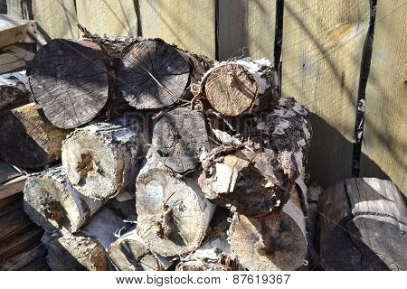 Birch Firewood Logs Stacked In The Slipway