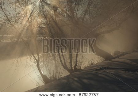 Frost on the trees on the embankment of the Iset River in Yekaterinburg, Russia.