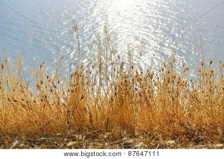 Bulgaria, Black Sea. Coastal Landscape. Kaliakra Headland
