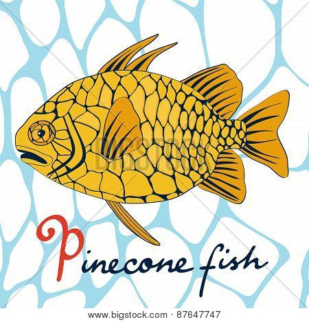 Pinecone fish