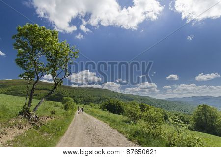 Hiking path