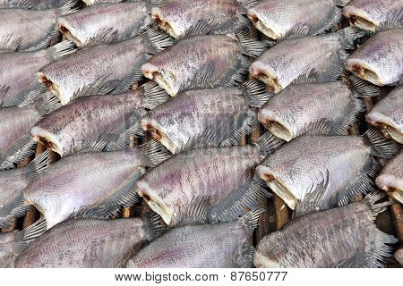 Sun Dried Fish Before Cooking Sell In The Market In Thailand