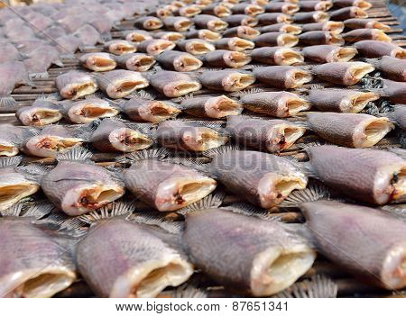 Sun Dried Salid Fish Before Cooking Sell In The Market In Thailand