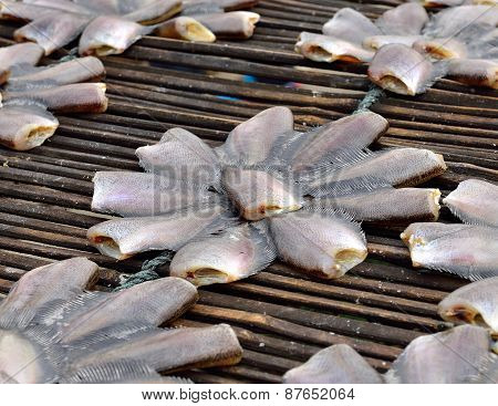 Sun Dried Salid Fish Before Cooking Sell In The Market In Thailand