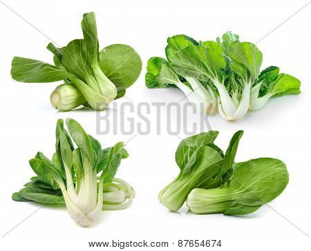 Bok Choy (chinese Cabbage Or Qing Geng Cai) Isolated On White Background