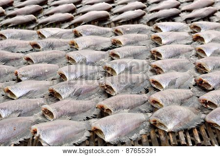Sun Dried Salid Fish Before Cooking Sell In The Market In Thailand
