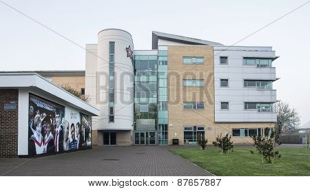The New College