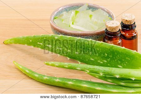 Aloevera - Natural Spas Ingredients For Skin Care.