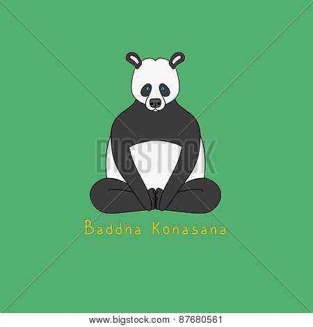 Illustration Of Baddha Konasana Yoga Pose - Animal Yoga
