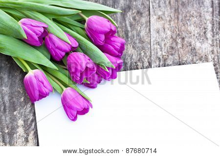 Violet Tulips On The Oak Brawn Table With White Sheet Of Paper