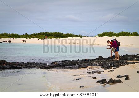 Unidentified tourists taking photos of crabs in beautiful deserted beach, Santa Cruz island, Galapag