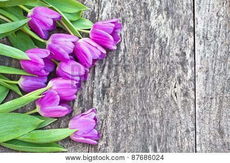 Bouquet Of Violet Tulips On The Oak Brawn Table