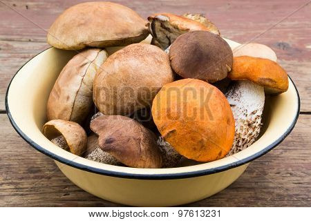 Fresh Wild Mushrooms In An Enamel Bowl