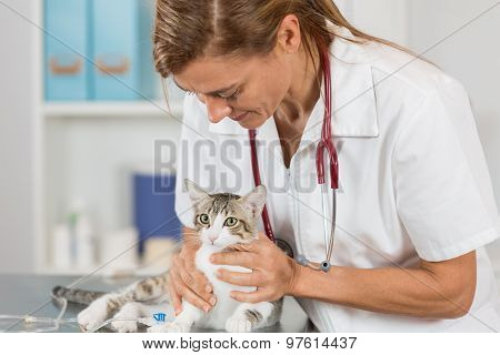 Veterinary Clinic
