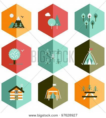 icon forest and camping