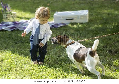 Baby Boy Playing With Jack Russes Terrier