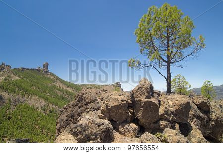 Inland Gran Canaria
