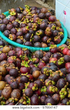 Fresh Organic Mangosteen Fruits At The Market