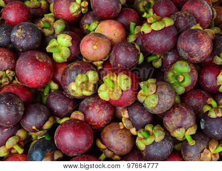 Fresh Organic Mangosteen Fruits At The Market