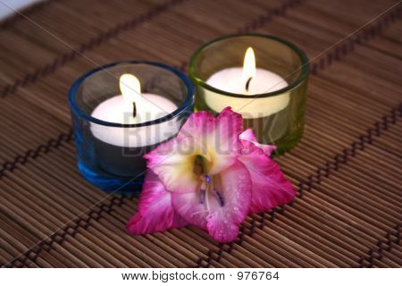Gladiola และเทียน