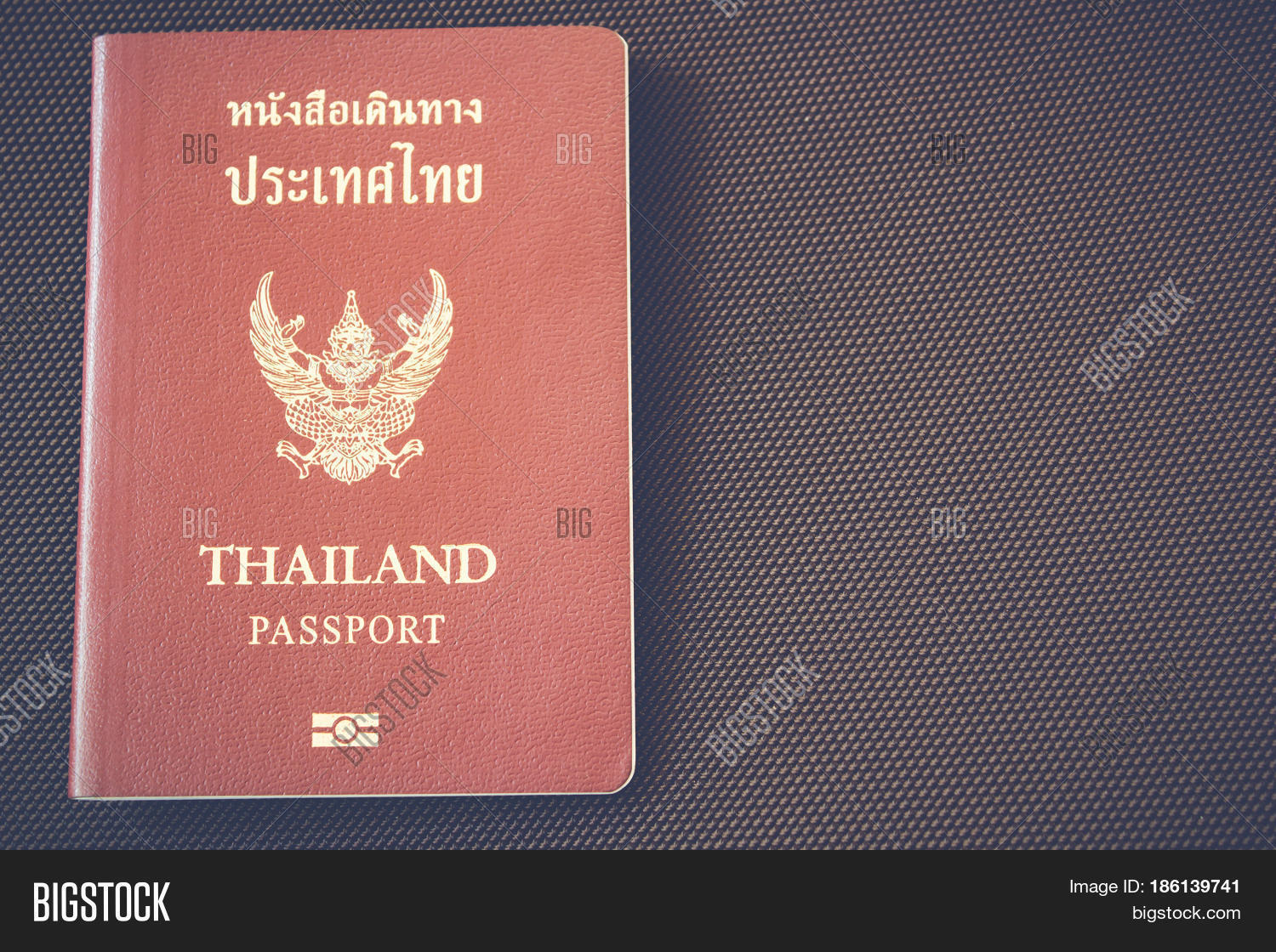 The Online Passport Photo Generator The Online Passport Photo Generator
