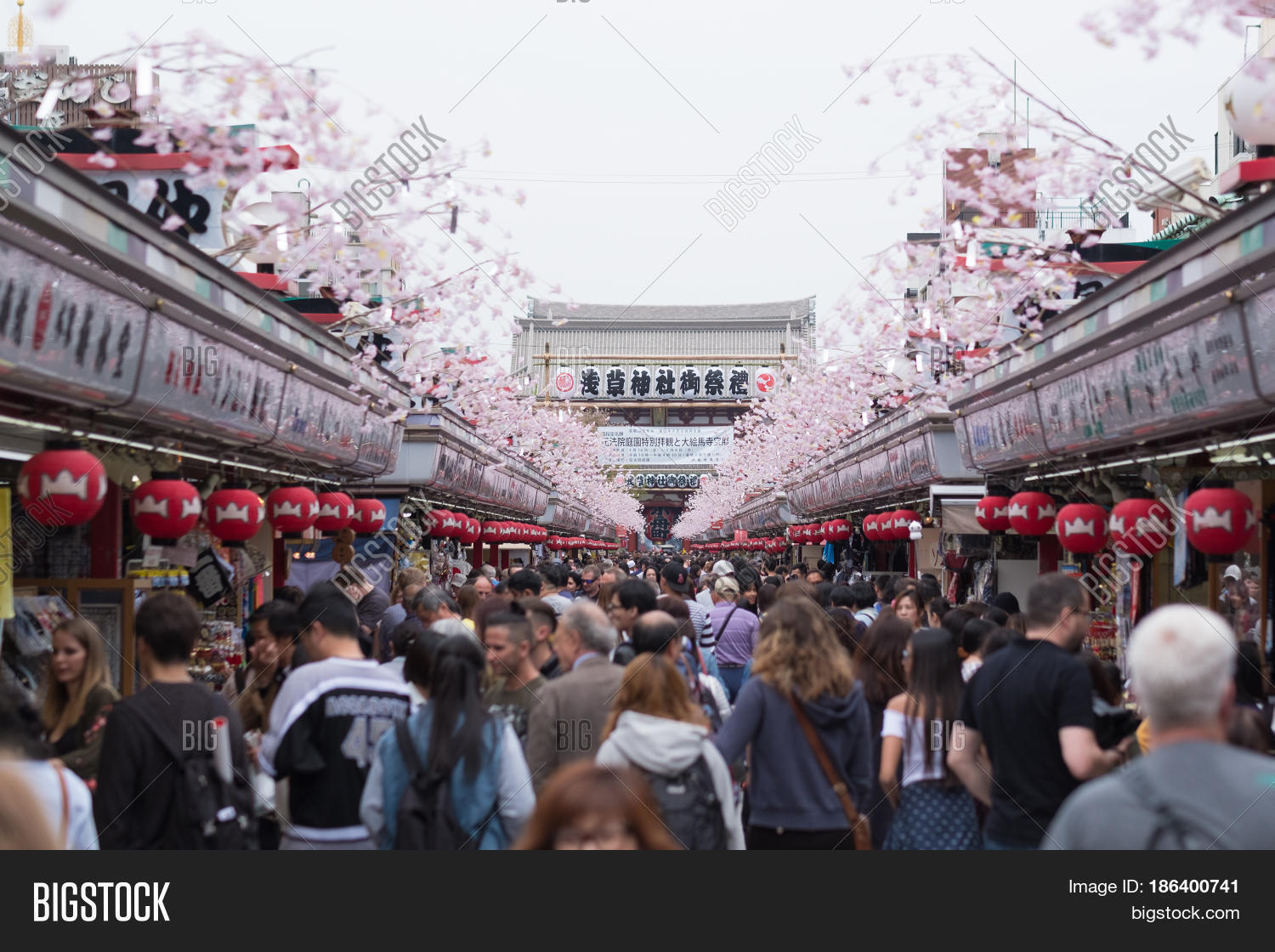 Tokyo japan april image photo free trial bigstock