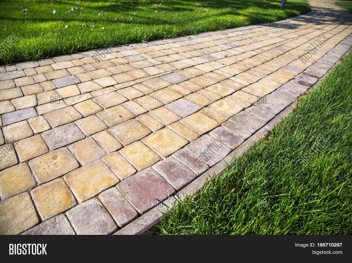 Lawn Sidewalk Grass Image & Photo (Free Trial) Bigstock