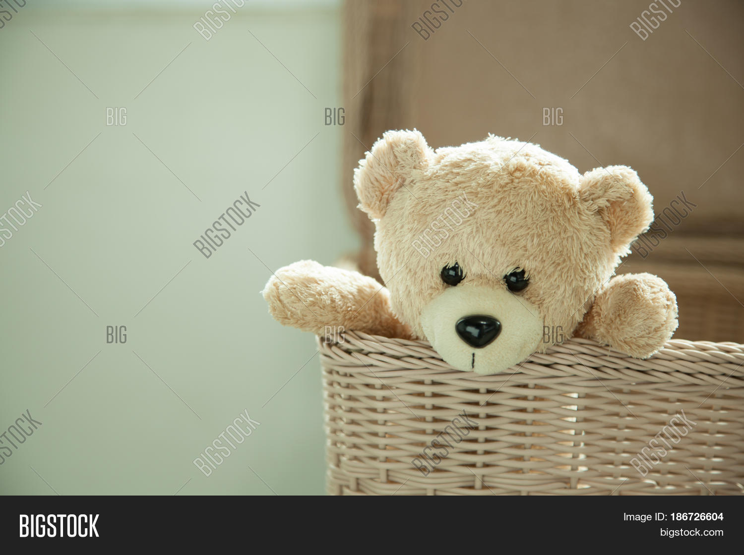 teddy bear alone images