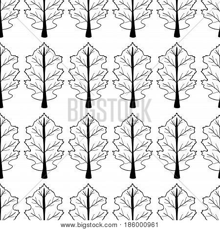 line nice organic plant with branches bachground, vector illustration design