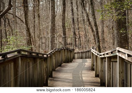Walking trail thru natural wood setting.  Wood boardwalk path through forest.  Explore and enjoy recreational walk or hike through the woods.