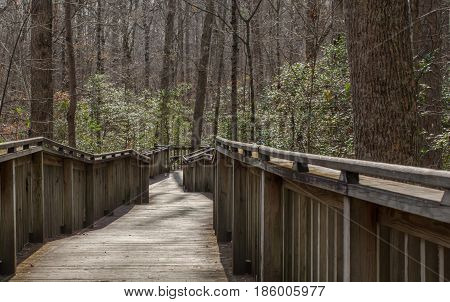 Walking trail thru natural wood setting.  Wood boardwalk path through forest.  Explore and enjoy recreational walk or hike through the woods.