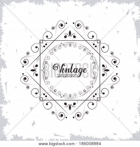 vintage and exlusive ornament flourish swirl decorative vector illustration