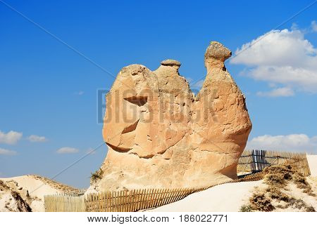 Camel Rock In Devrent Valley At Cappadocia. Turkey