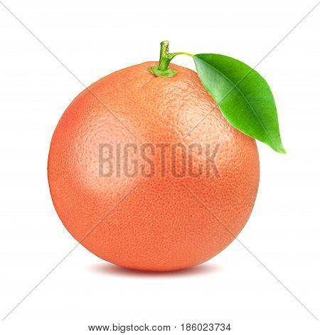 Grapefruit with leaf isolated on white background. With clipping path. Full depth of field