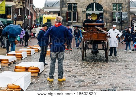 Gouda Netherlands - August 4 2016: Gouda Cheese Market. It remains a spectacle at the heart of Holland's cheese industry with its rituals and Dutch traditions now a must-see attraction.