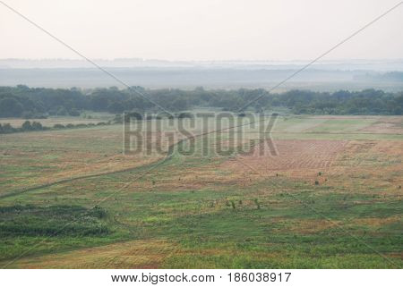 A long, lonely road through the morning misty field.