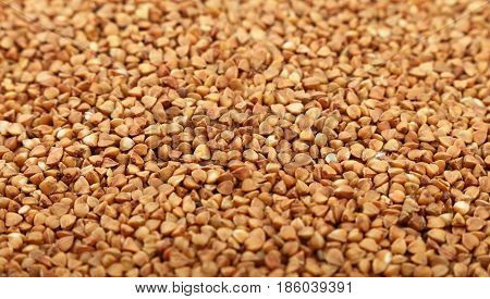 Dried Brown Buckwheat Groats Close Up Background