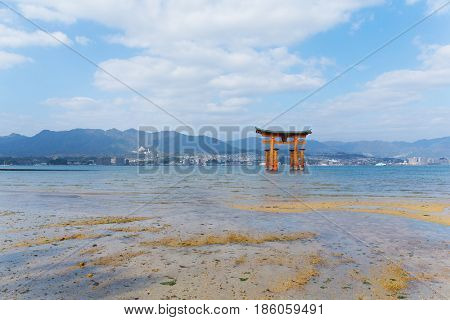 Torii in Itsukushima shine