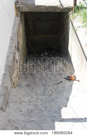 Mold growth on the ceiling and walls of a basement staircase.