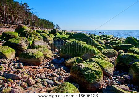 Vidzeme Stony Seacoast. Baltic Sea coast. Kurmrags