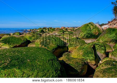 Vidzeme Stony Seacoast. Baltic Sea coast. Kurmrags