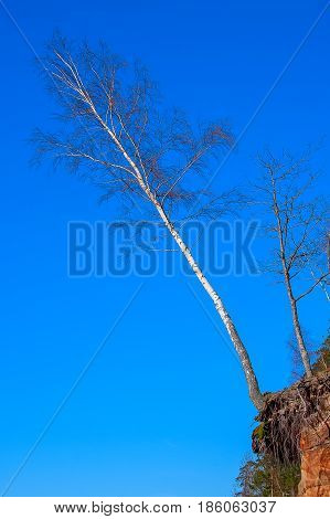 Vidzeme Stony Seacoast. Baltic Sea coast. Kurmrags