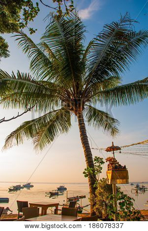Beautiful Beach With A Cafe In Sanur With Local Traditional Boats Palm Trees On The Island Of Bali A