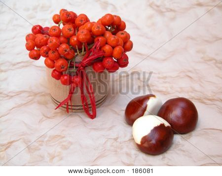 1151