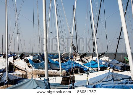 Sailing boat masts parked at the seaside in Whitstable Kent United Kingdom