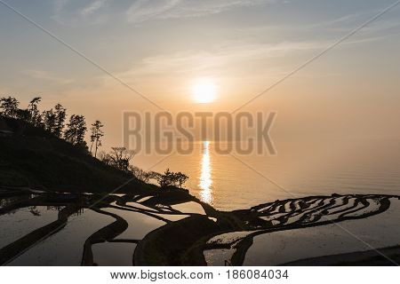 Rice terraces at Shiroyone Senmaida on Japan's Noto Hanto coast