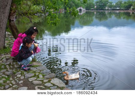 HONGCUN, CHINA - APRIL 20, 2014: Tourists feeding duck on Moon Lake in Hongcun Village. Hongcun is ancient village in Anhui Province near the southwest of Mount Huangshan.